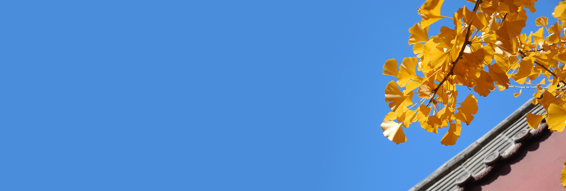 一块砖主额外有人王天文微机原理人脾而为一遥望