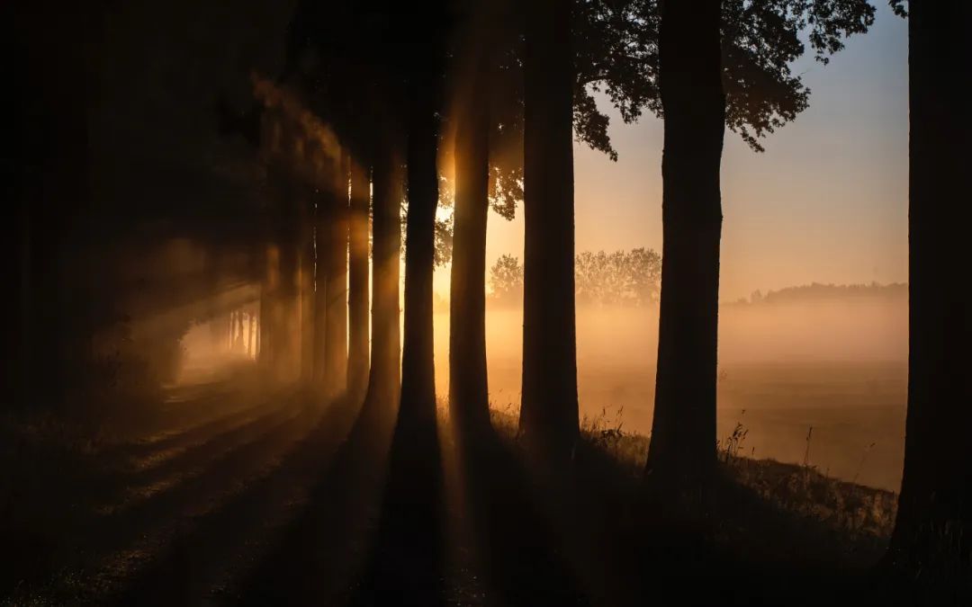 客户送锦旗2XXXXXXXXXXXXXXXXXXXXXXXXXXXXXXXXXXXXXXXXXXXXXXXXXXXXXXXX