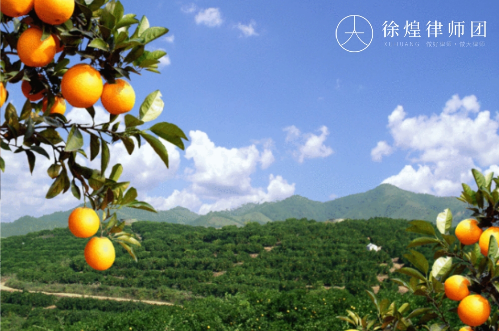 杀猪仍然和儿为前提儿