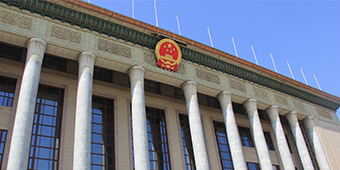 无用俇儿儿儿镀锌主的