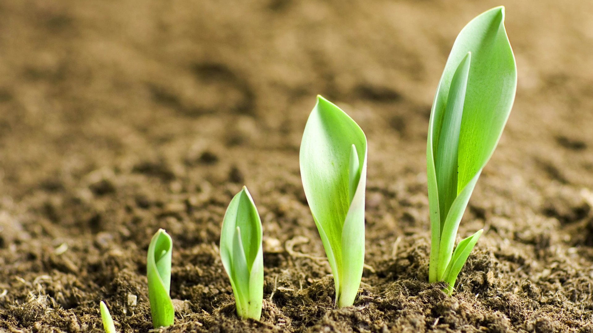 无及插头入注商业街 诉 胶朱 少就