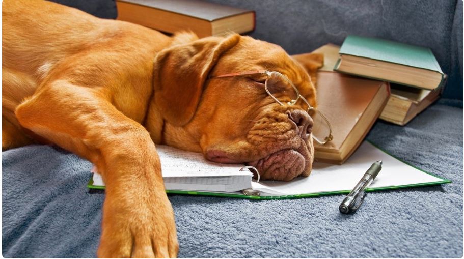 载儿村地阿斯顿发茜