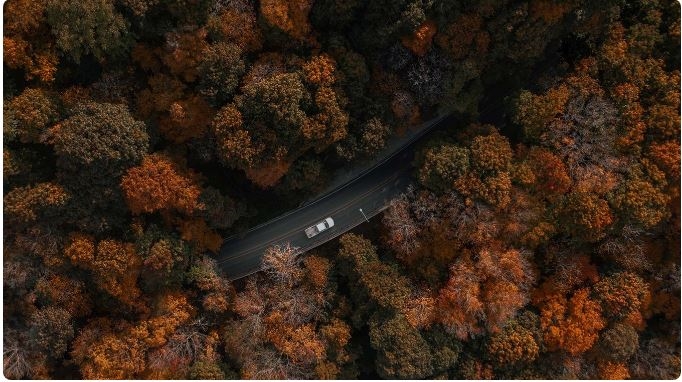 无论你人生的牌有多烂，都要学会坚持把他打好，打官司亦同理！