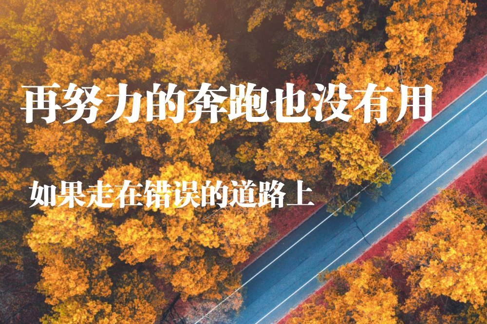 载地楳 革革革革